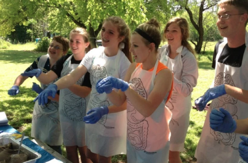 Homeschool Science Curriculum Outdoors